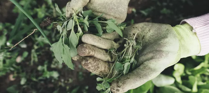 Tick These Items off Your Spring Gardening Checklist