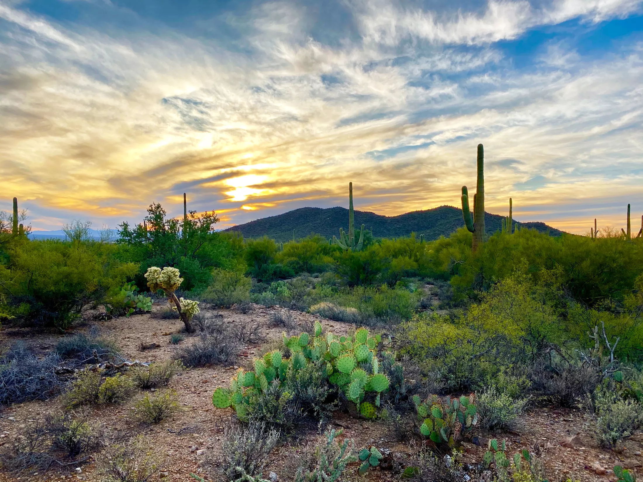 7 Warmer States to Visit During the Winter