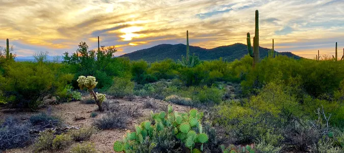 7 Warmer States to Visit During the Winter