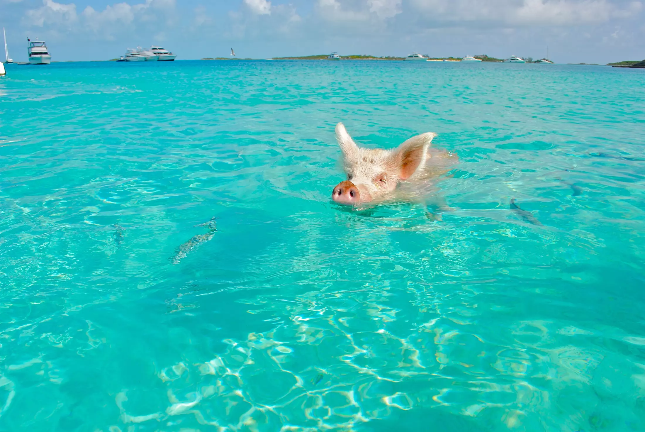 Travel This Spring Without the Crowds