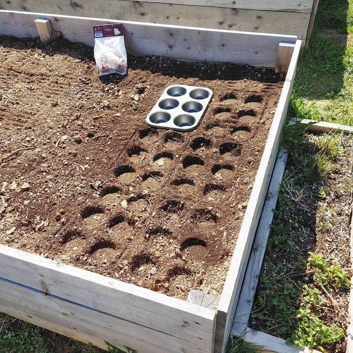 Gardening Lifehacks You Should be Using