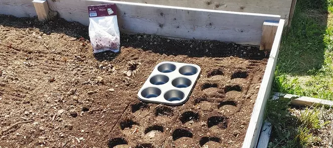 Gardening Lifehacks You Should be Using