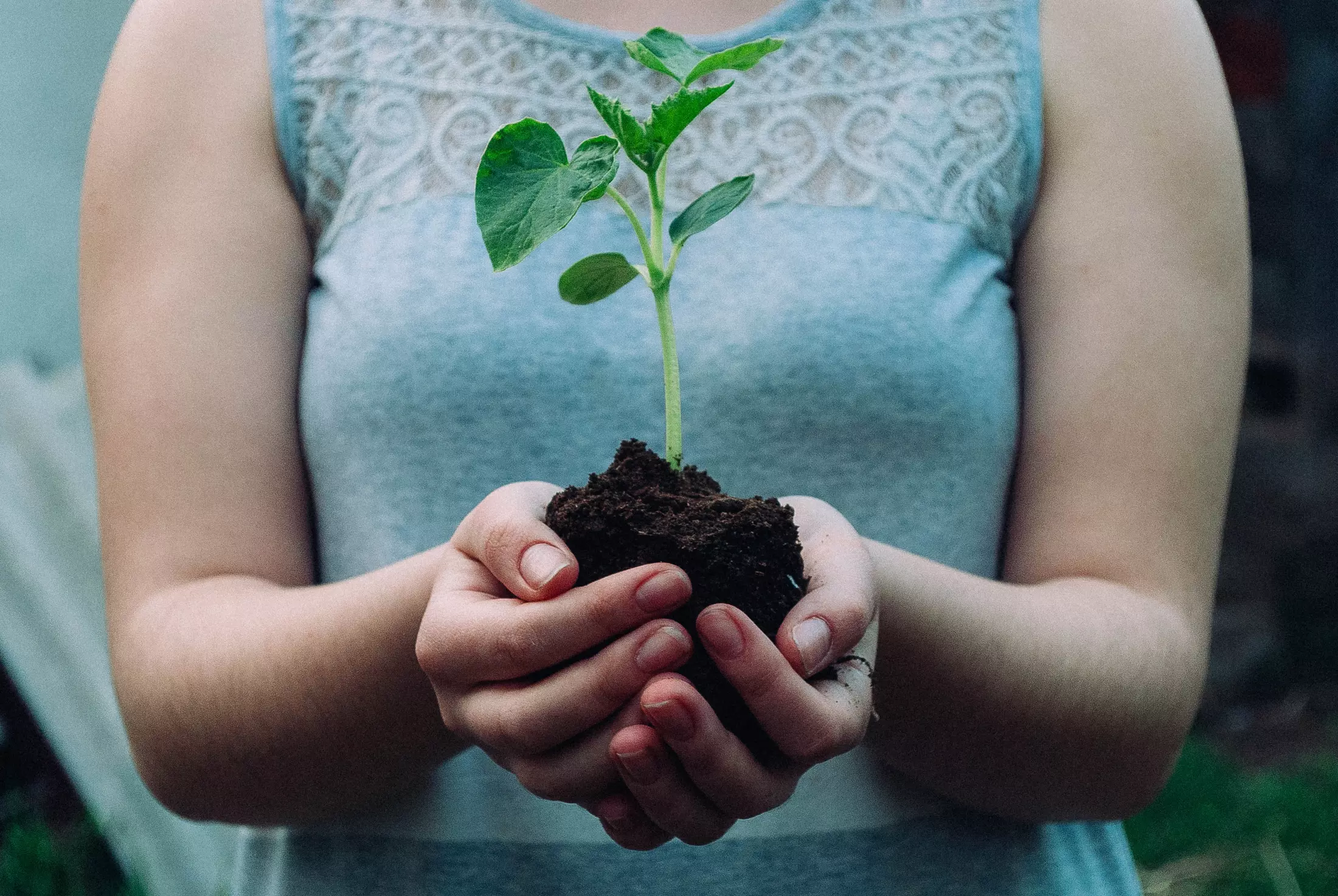 Start a Vegetable Garden and Reap the Benefits
