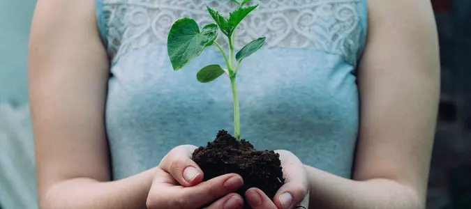 Start a Vegetable Garden and Reap the Benefits