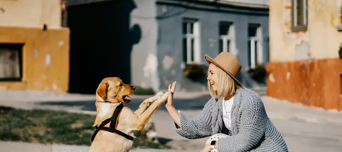 How to Deal with Allergies as a Pet Owner